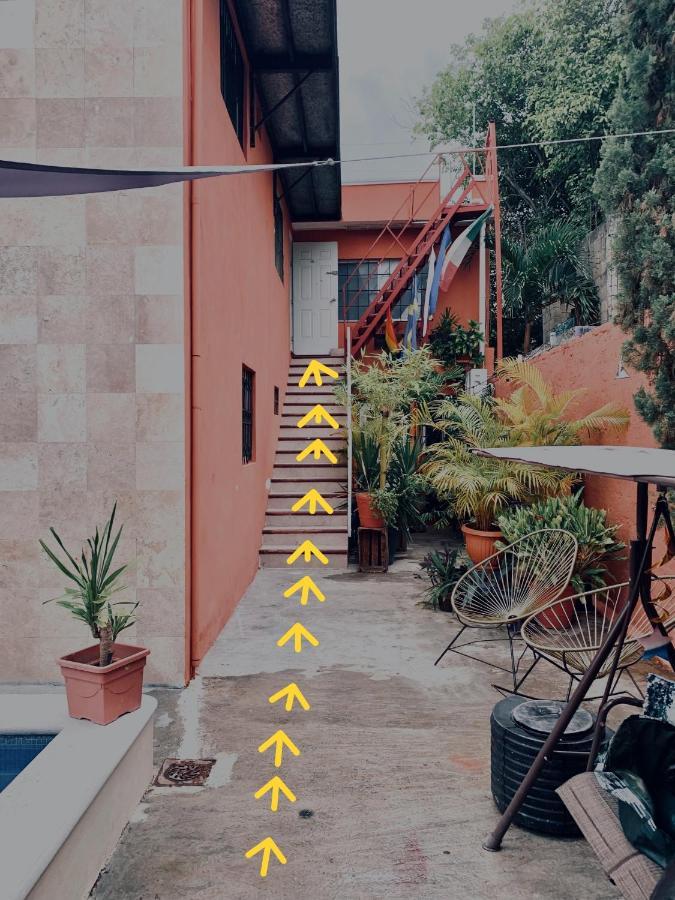 Alcoby Apartment كانكون المظهر الخارجي الصورة